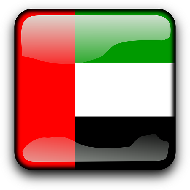 arabic flag icon